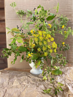 Masterclass By Daniela Fabres 24 de Octubre 2025