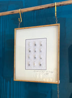 "El encierro en el que viven Las Certezas"