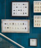 "Expectativa versus Realidad"